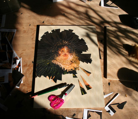 Lola Dupre Lola Dupre