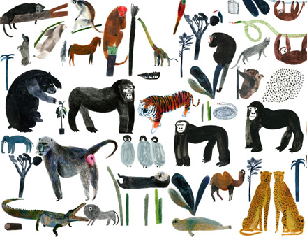 Laura Carlin Laura Carlin