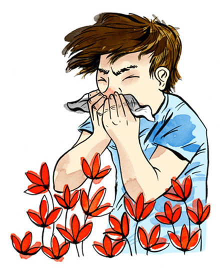 Anat Even-or Anat Even-or