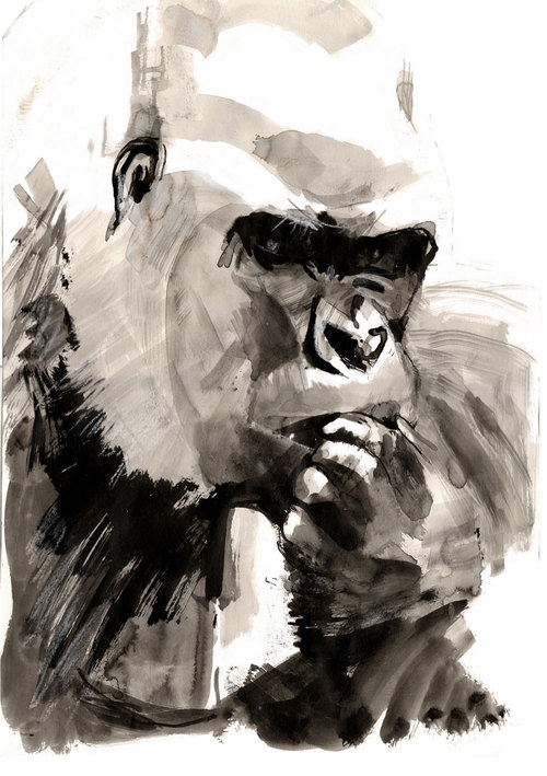 Sarah Maycock Sarah Maycock