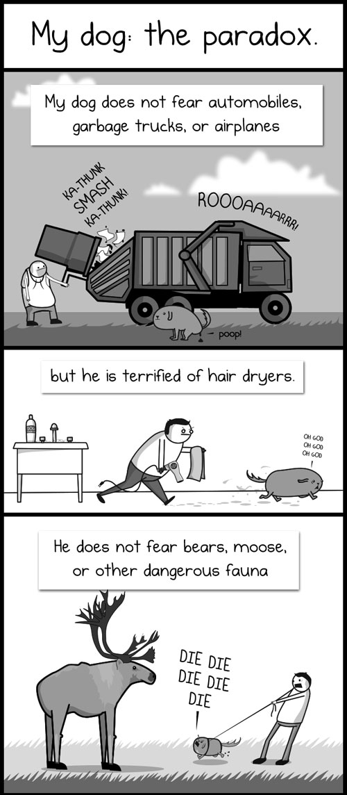 The Oatmeal - My Dog: The Paradox