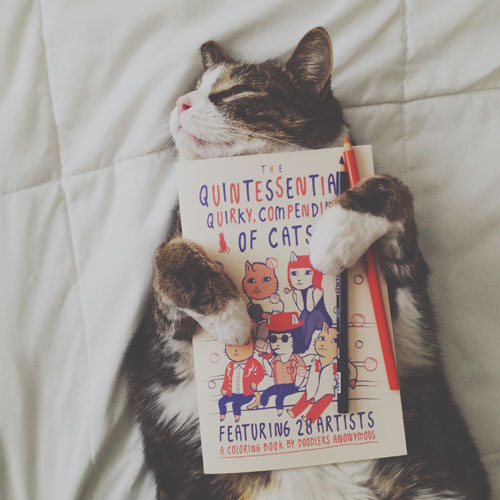 Doodlers Anonymous: The Quintessential, Quirky, Compendium of Cats