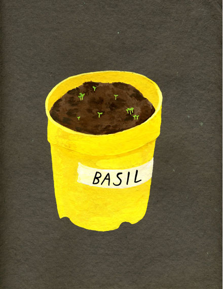 Kelly Lasserre