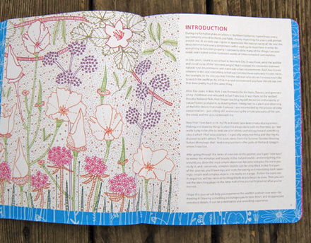 Jill Bliss: Drawing Nature Jill Bliss: Drawing Nature
