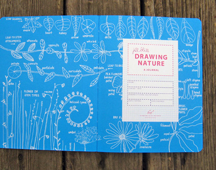 Jill Bliss: Drawing Nature Jill Bliss: Drawing Nature
