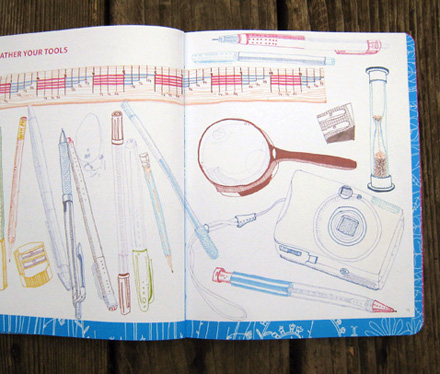 jill Bliss: Drawing Nature jill Bliss: Drawing Nature