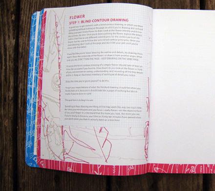 Jill Bliss: Drawing Nature Jill Bliss: Drawing Nature