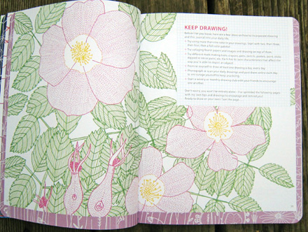 Jill Bliss: Drawing Nature Jill Bliss: Drawing Nature