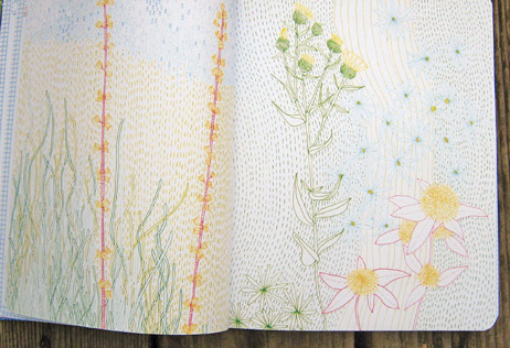 Jill Bliss: Drawing Nature