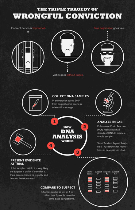 Daily infographic