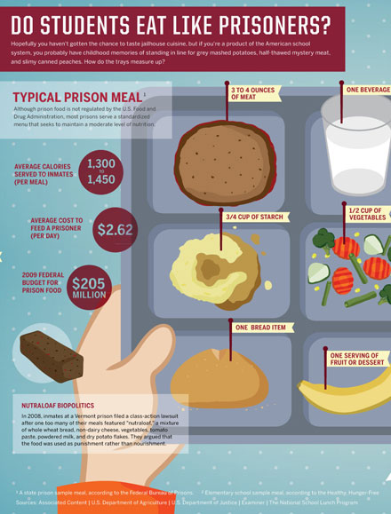 Daily infographic
