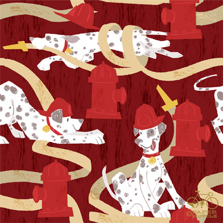 Paper Bicycle Creatives: Lindsay Nohl