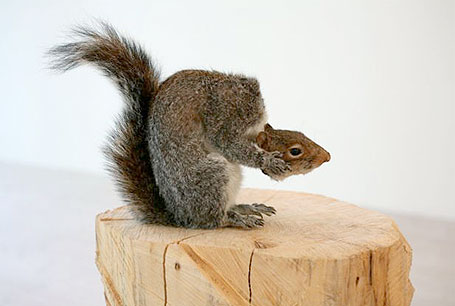 David Shrigley: brain activity