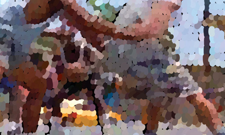 jean charles fremont