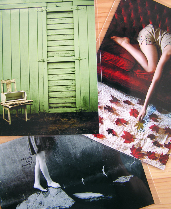 Madelaine's photo prints