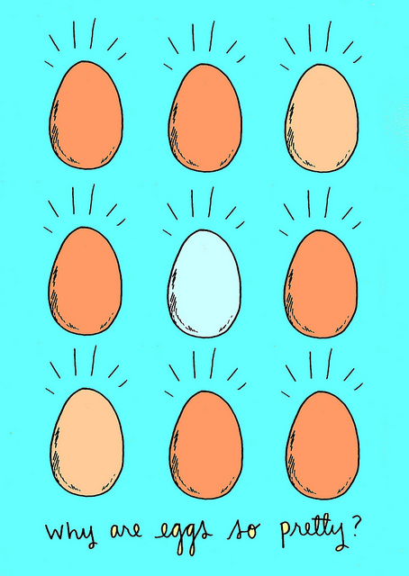 Eggs