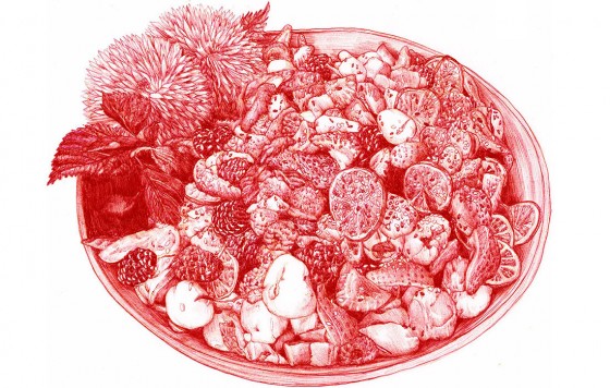 5432b6b41bdb01a70ab45563_meat_fruit_salad_03