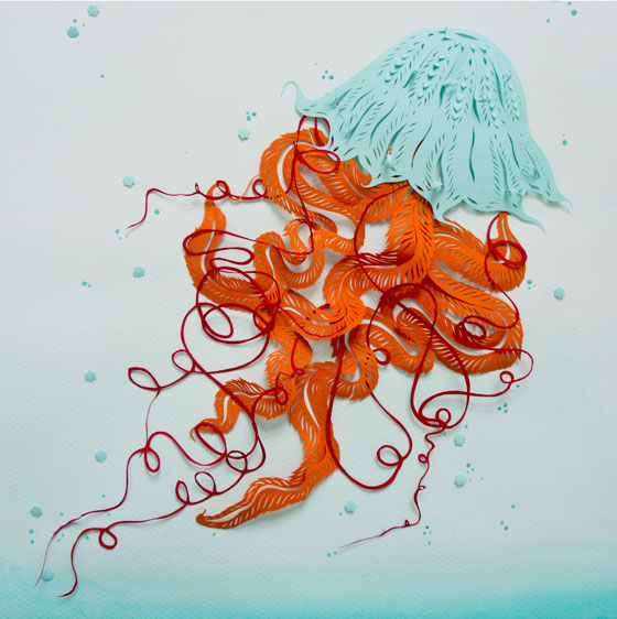 Jellyfish