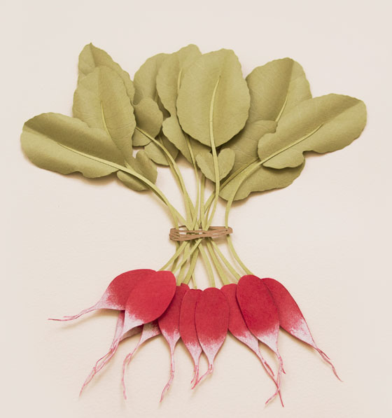 radish